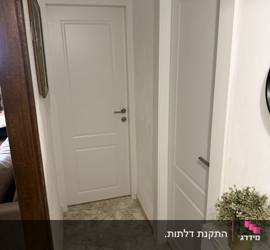 שתי דלתות לבנות במסדרון עם עציץ קטן